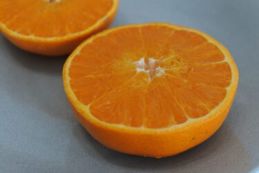 柑橘類の大トロ！？とろける食感を楽しめる『せとか』の旬は2月上旬〜4月で3月が出荷の最盛期