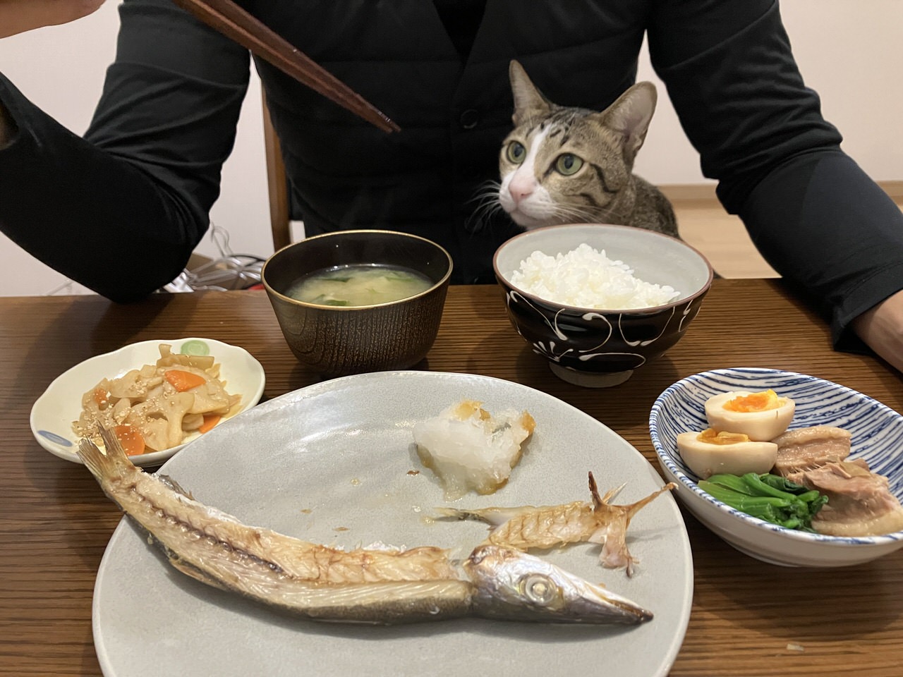 猫　日本生活